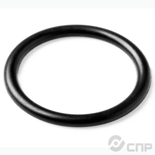 Производство уплотнительных колец в Лобне